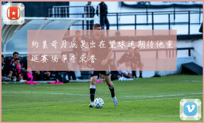 约基奇月底复出在望球迷期待他重返赛场争夺荣誉